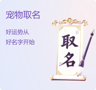 宠物取名